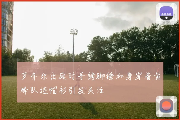 罗齐尔出庭时手铐脚镣加身穿着黄蜂队连帽衫引发关注
