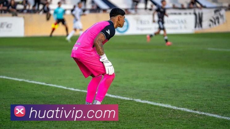 华体会体育APP 封面图